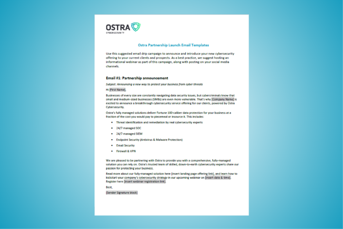 Partner Launch Email Templates